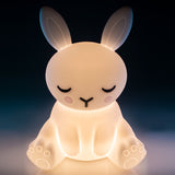 Lil' Dreamers LED Soft Touch Lamp Various Designs