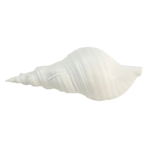 White Poly Sea Snail Shell 19x7x9cm
